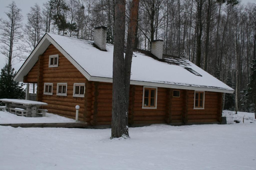 Дома для отпуска Trepimäe Holiday House Vehendi-18