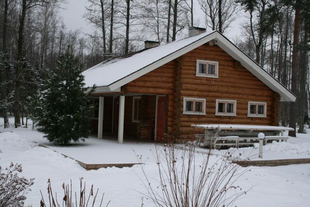 Дома для отпуска Trepimäe Holiday House Vehendi-22